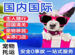 珠海空运国际宠物托运 【国